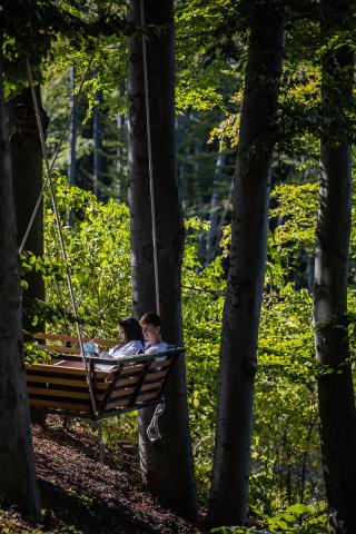 Hotel kupon, wellness kuponok, 30-60%-os kedvezménnyel 010 thumbnail