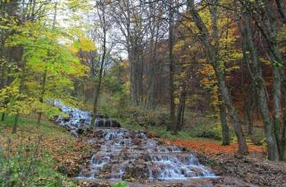 Hotel kupon, wellness kuponok, 30-60%-os kedvezménnyel 015 thumbnail